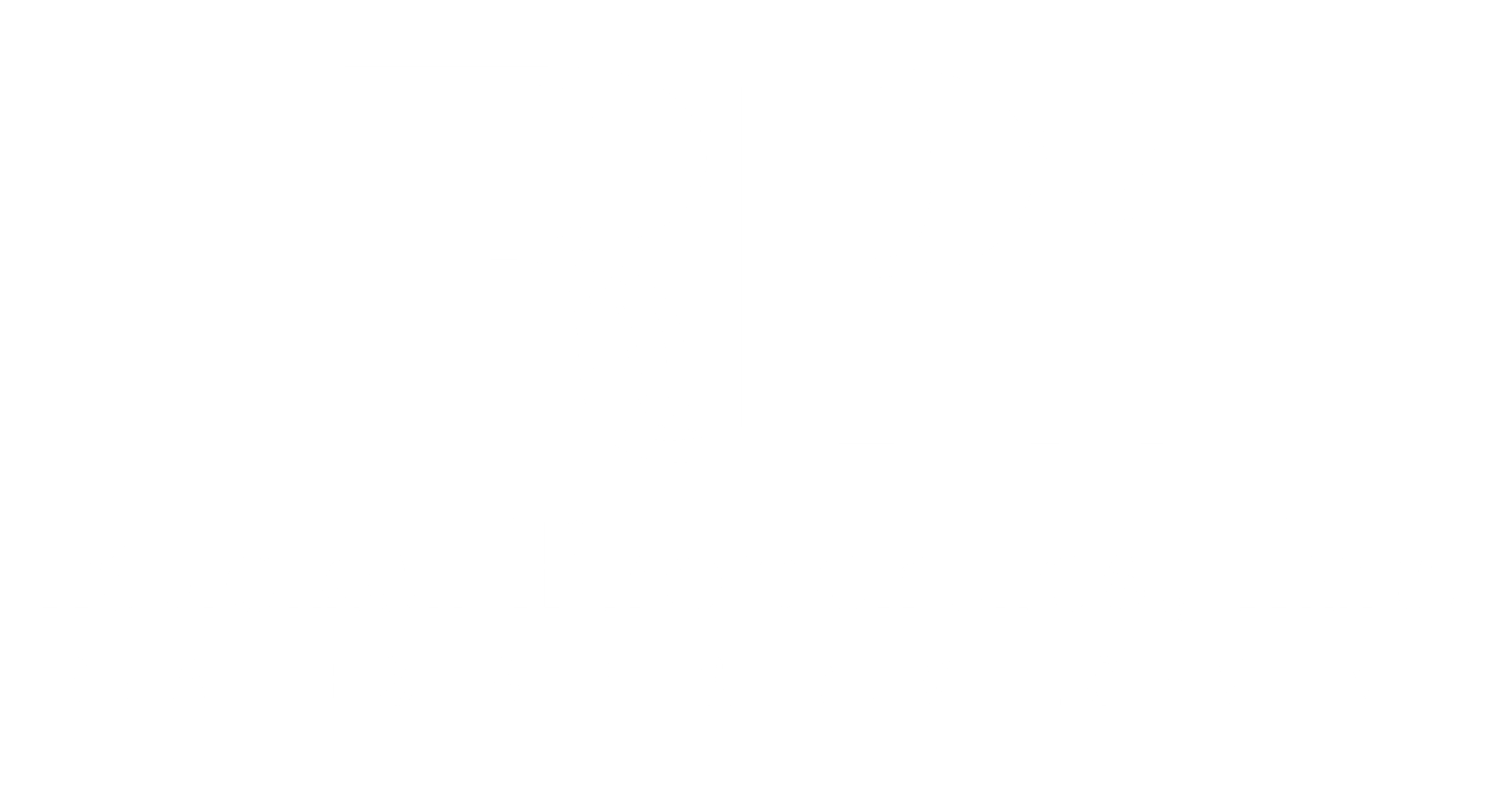 RPI Logo White